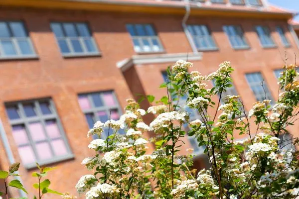  Ferien am Südstrand Ferienwohnung 0.6/ Elso