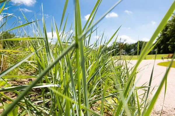  Ferien am Südstrand Ferienwohnung 0.6/ Elso