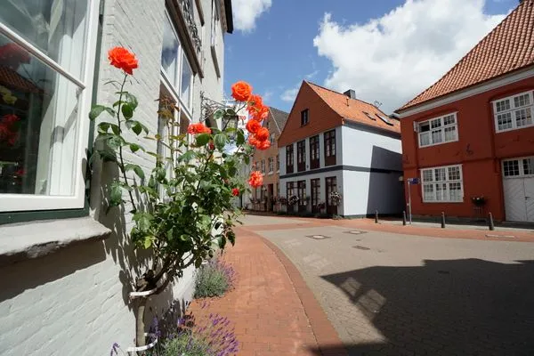   Ferienwohnung Blauzahn