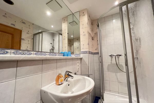 Ferienhaus Brise - Singletörn  - Badezimmer