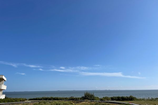 Bi de Wyk Bi de Wyk  - 