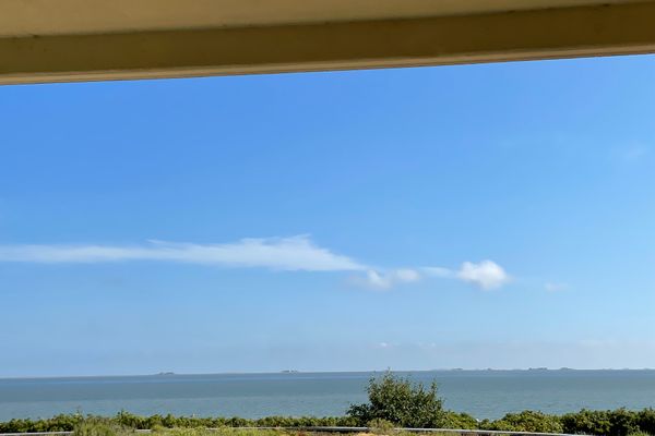 Bi de Wyk Bi de Wyk  - 