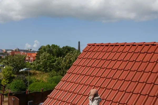 Dekoratives Detail Ferienhaus Heidi Häuschen Seehund