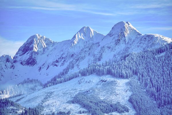  Appartement Leon Zell am See - Landschaft