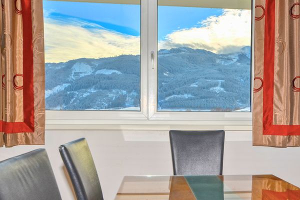  Appartement Leon Zell am See - Nachbarschaft