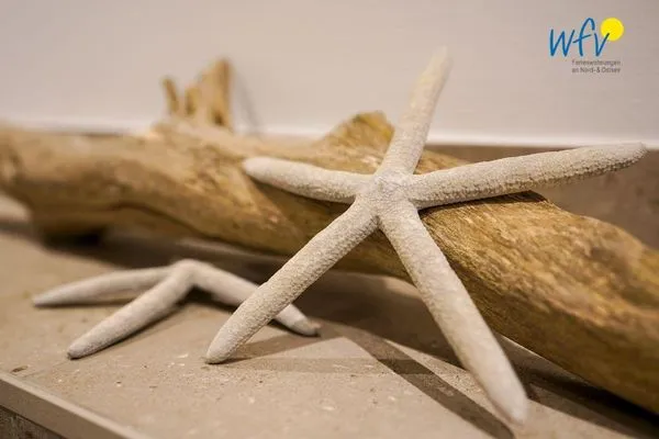  Achterhus Ferienwohnung "wat'nmeer"