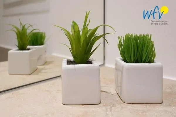  Achterhus Ferienwohnung Sonneneck