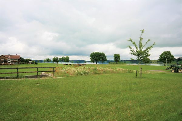  Ferienwohnung Landliebe Ferienwohnungen in Schwangau - 