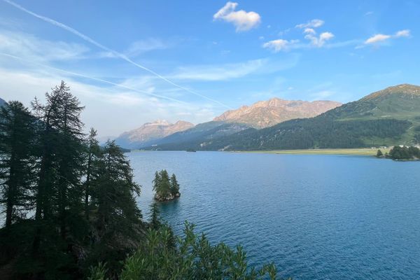 Chesa Munteratsch 2-Zimmerwohnung 301 Typ E Silvaplana - -img.tag.scenery-