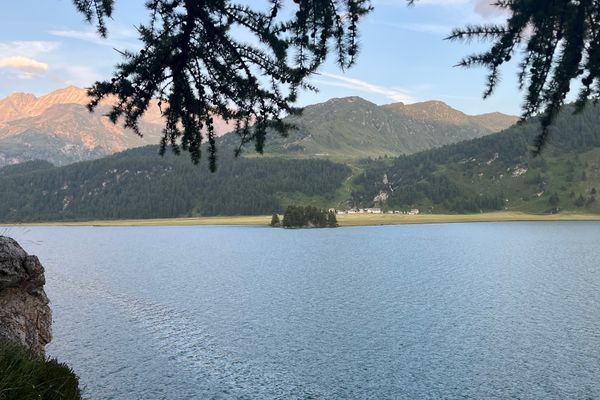 Chesa Munteratsch 2-Zimmerwohnung 301 Typ E Silvaplana - 