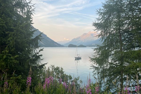 Chesa Munteratsch 2-Zimmerwohnung 301 Typ E Silvaplana - 
