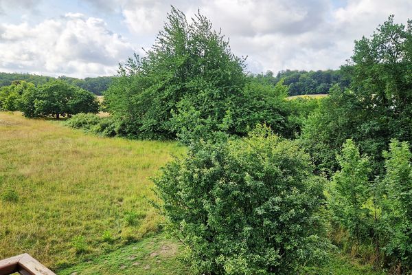 Wohnanlage "Am Grün" Sonnenglück Wittenbeck - 