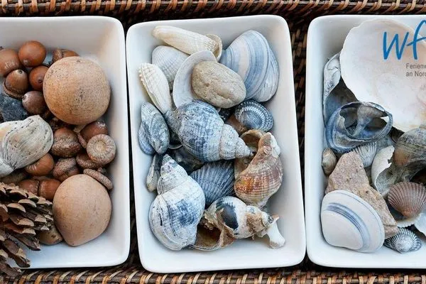 Dekoratives Detail Juist Zauber - Haus 2 Ferienwohnung Caprasse