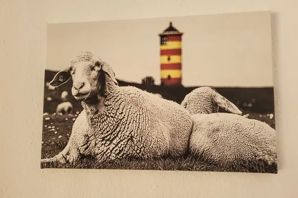   Wohnung De Groode Diekkieker