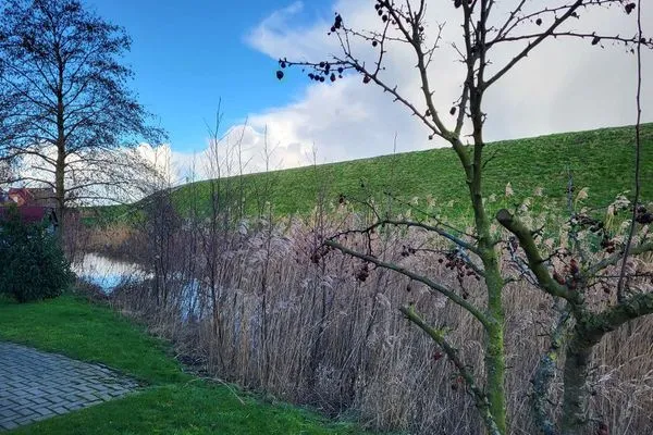   Haus Ossi's Friesenhus