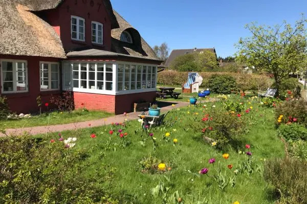 Tulpengarten am Hüs Sanskiin in Süddorf auf Amrum Hüs Sanskiin Ferienwohnung *Eerdglüper*