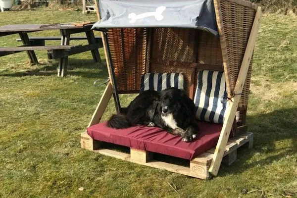 Strandkorb für Hunde am Hüs Sanskiin in Süddorf auf Amrum Hüs Sanskiin Ferienwohnung *Brombelbei*