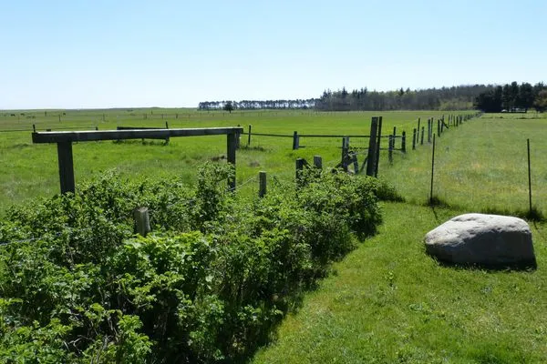 Blick über die Wiesen an der Ferienwohnung Reetblick in Norddorf auf Amrum Haus Pesel Ferienwohnung *Reetblick*