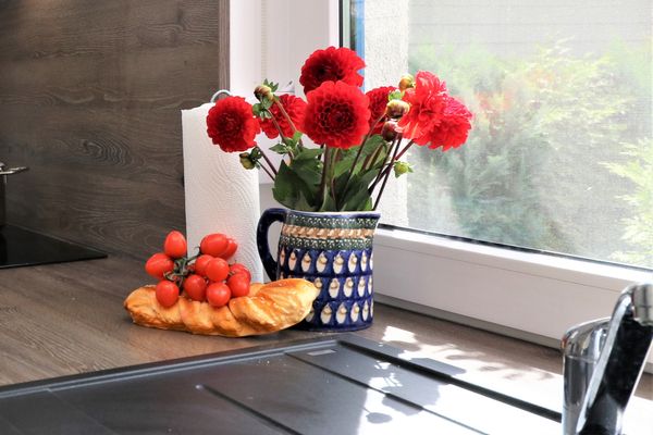 HAUS AM MEER Haus am Meer, App. 01 Ostseebad Dierhagen - 