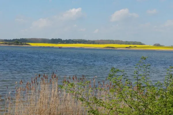   Ferienhaus Klönstieg