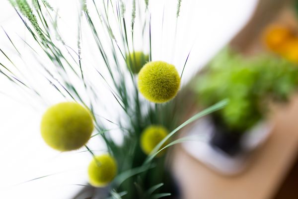  Haus Coordes Wohnung 2 Norderney - Dekoratives Detail