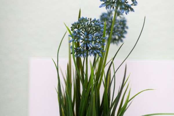  Haus Coordes Wohnung 2 Norderney - Dekoratives Detail