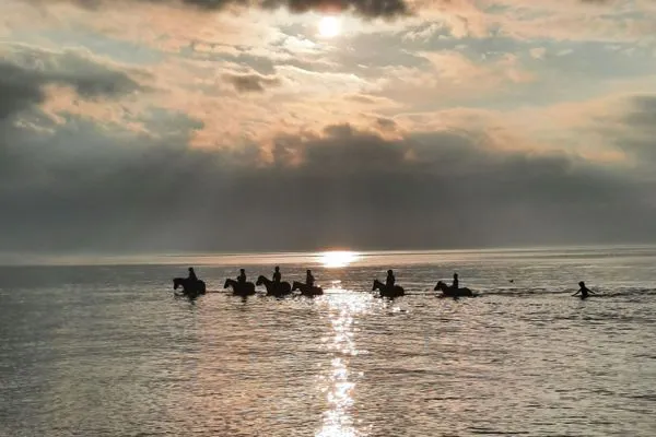 Beach Appartements Am Reiterhof Strandträumer