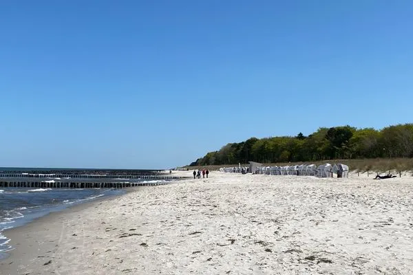 Bild vom Strand in Zingst Residenz am Strand Wohnung 3-50