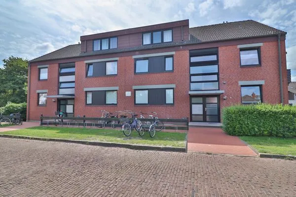 Hauptansicht  Silbermöwe