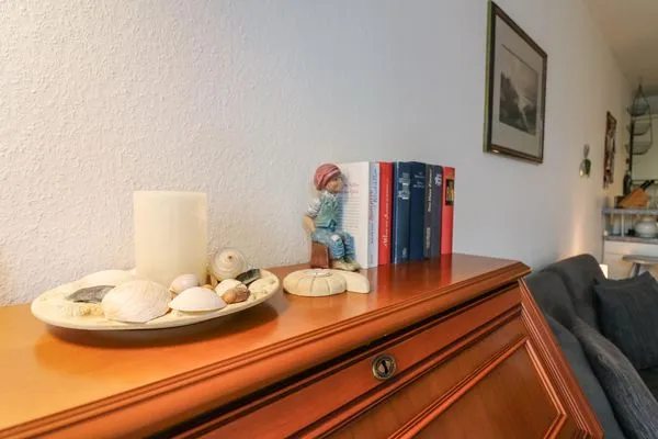 Dekoratives Detail  Silbermöwe