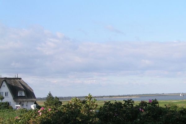 Friesenhof 04 Rantum - 