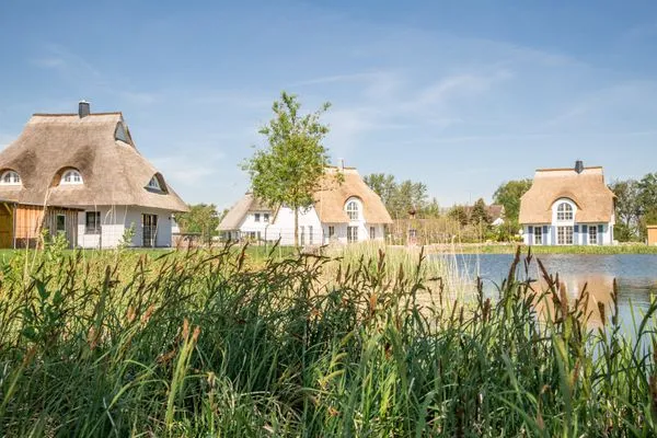 Gartenblick  Ferienhaus Schilfrohrsänger 31