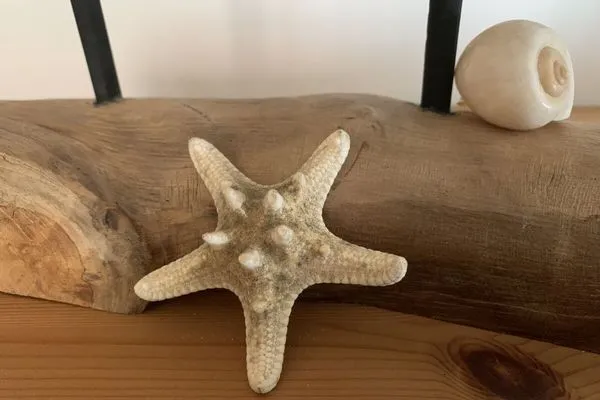   Haus Lüttje Huus an't Diek