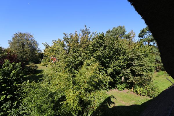 GRÜNER WINKEL Grüner Winkel, App. 02 Erholungsort Born - Gartenblick