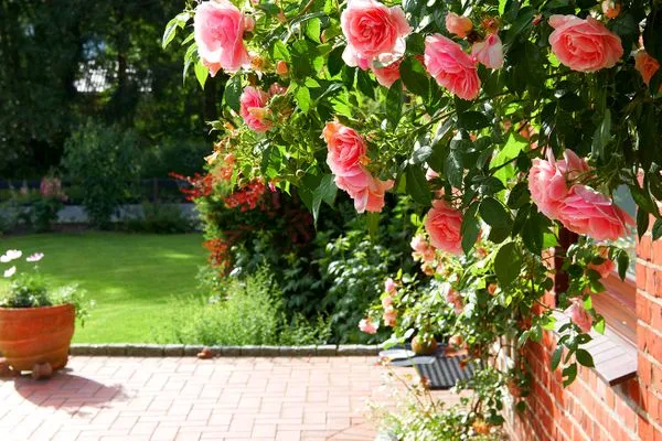 Dekoratives Detail  Ferienwohnung Ankerplatz mit SPIELSCHEUNE am Wittensee