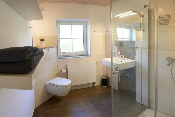 Badezimmer  Ferienwohnung Wasserspiel am Wittensee - mit SPIELSCHEUNE