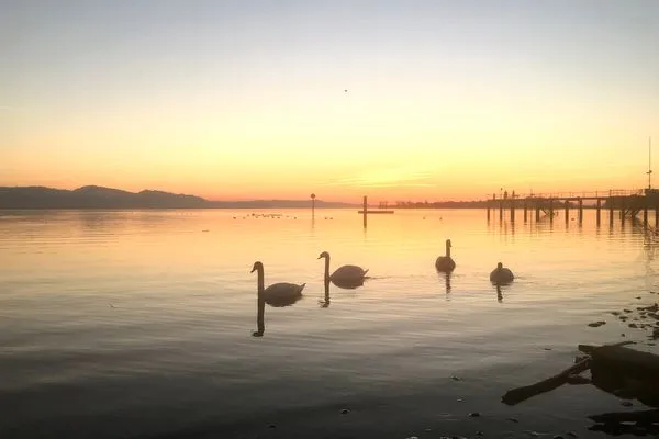 Multi-Fewo-Haus Zitronengässle 1 Ferienwohnung Mudita Lindau Insel - Bodensee