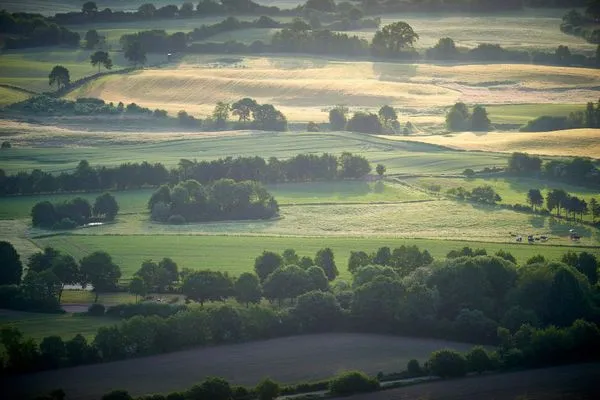 Landschaft  Ferienwohnung Wasserspiel am Wittensee - mit SPIELSCHEUNE