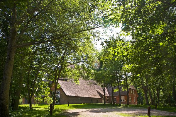 Haubarg Tetenshof Whg. 1 Frankreich  Welt Eiderstedt Umland - Hauptansicht