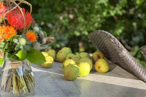 Dekoratives Detail  Ferienwohnung Am Apfelbaum - romantische Remise direkt am Golfplatz und der Schlei