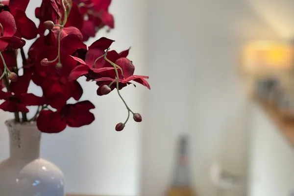 Dekoratives Detail  Ferienwohnung Am Apfelbaum - romantische Remise direkt am Golfplatz und der Schlei