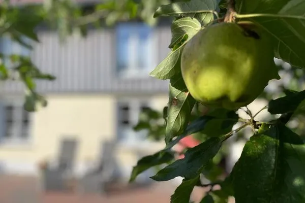 Dekoratives Detail  Ferienwohnung Am Apfelbaum - romantische Remise direkt am Golfplatz und der Schlei