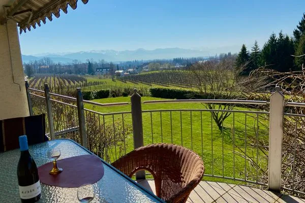 Multi-Fewo Haus Weinberg-Idyll Ferienwohnung Weinberg-Idyll Lindau und Umgebung - Aussicht