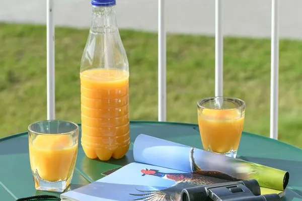Balkon Haus Lagune am Wattenmeer Ferienwohnung 11