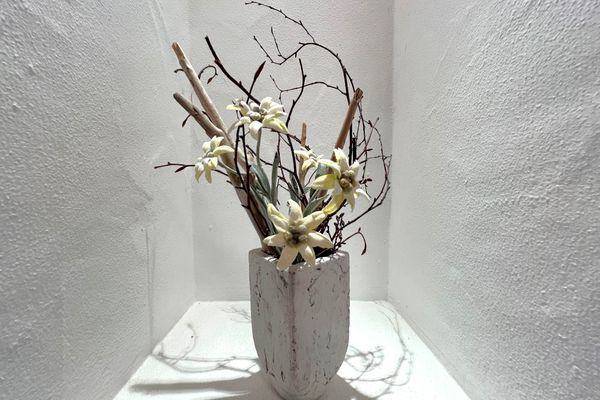  Ferienwohnung Ferienidyll am Forggensee Ferienwohnungen in Schwangau - 