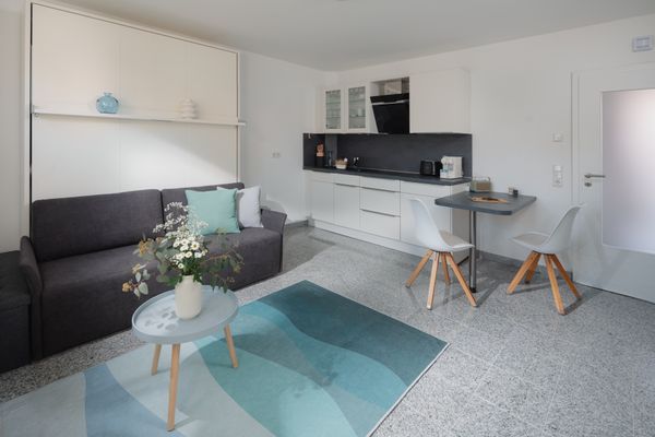  Birke 15  - Wohnzimmer
