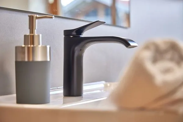 Decorative detail  Berghupferl