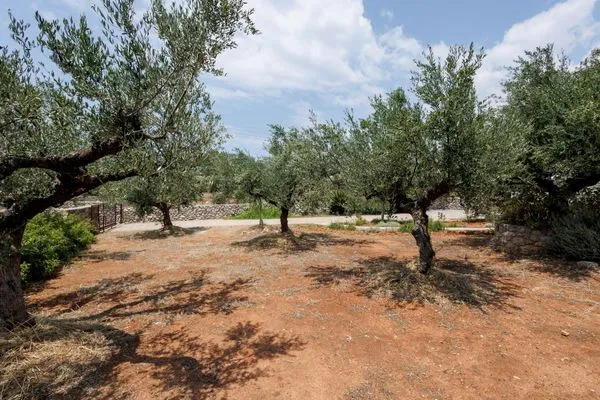 Garden  Spiti-Eleonas