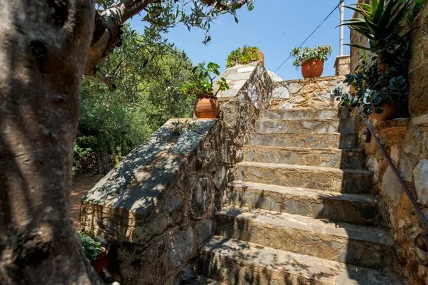 Terrace  Spiti Nicola