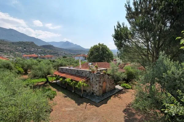 Bird's eye view  Spiti Nicola
